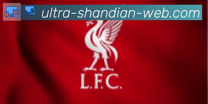 闪电体育合作伙伴